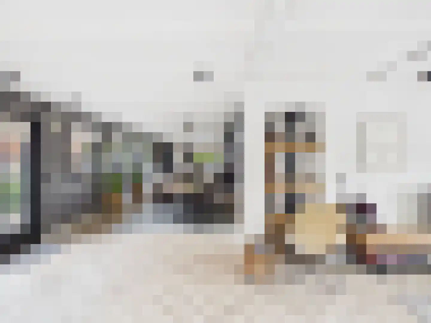 Zaanstraat 31 Terneuzen thumbnail 4