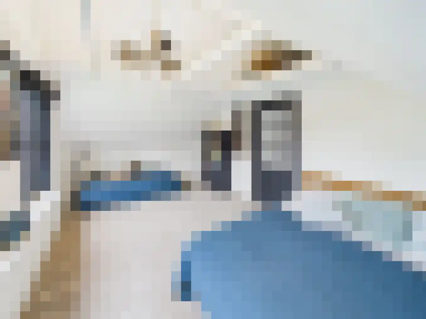 Zaanstraat 31 Terneuzen thumbnail 41