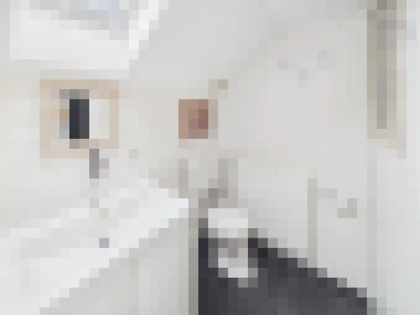 Zaanstraat 31 Terneuzen thumbnail 46