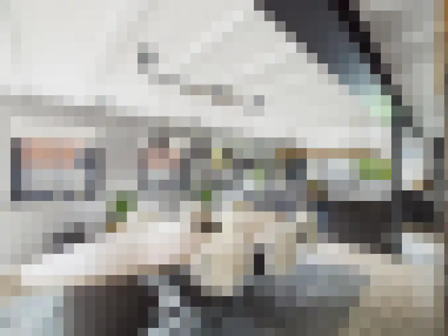 Zaanstraat 31 Terneuzen thumbnail 5