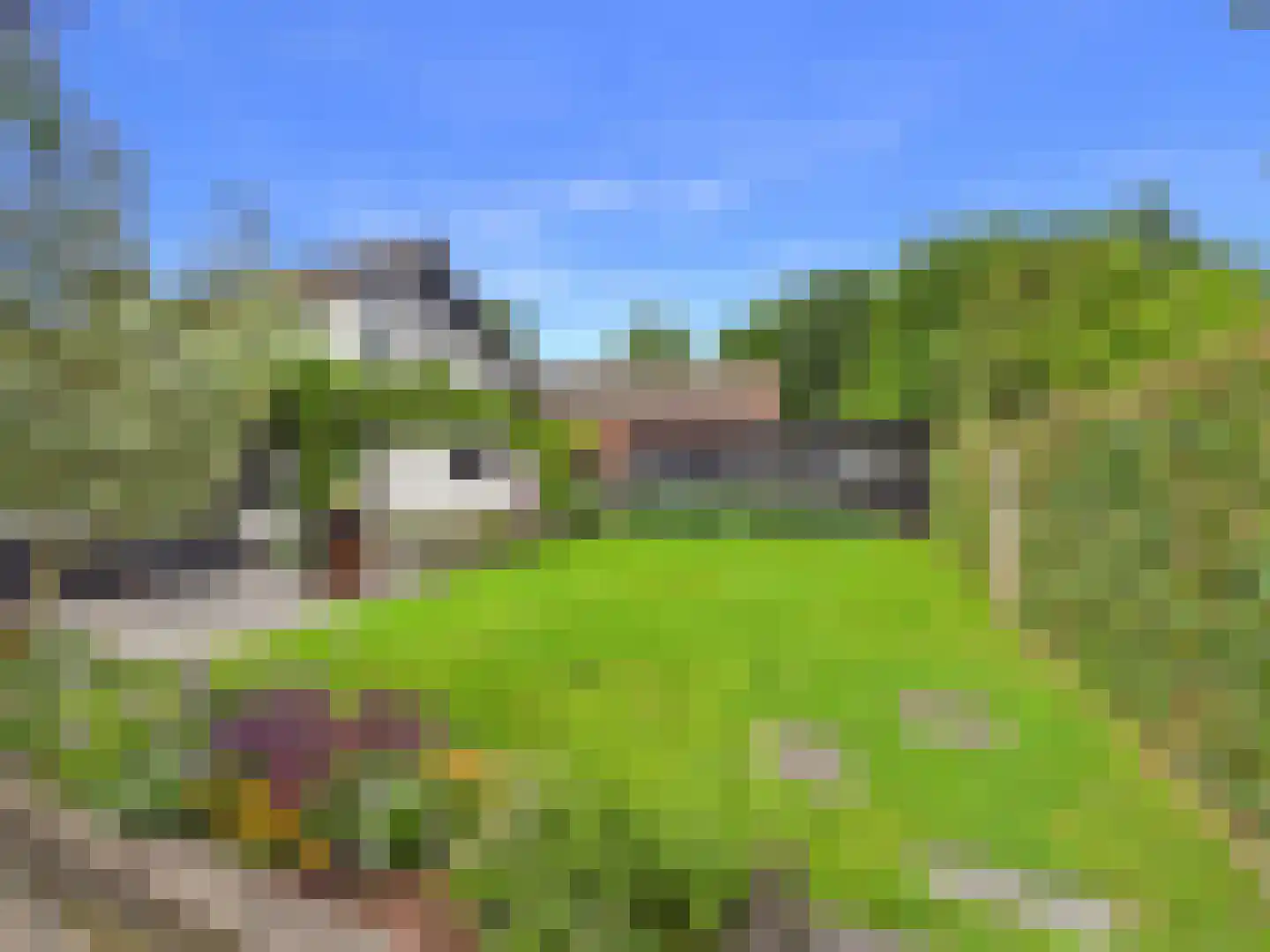 Zaanstraat 31 Terneuzen thumbnail 51