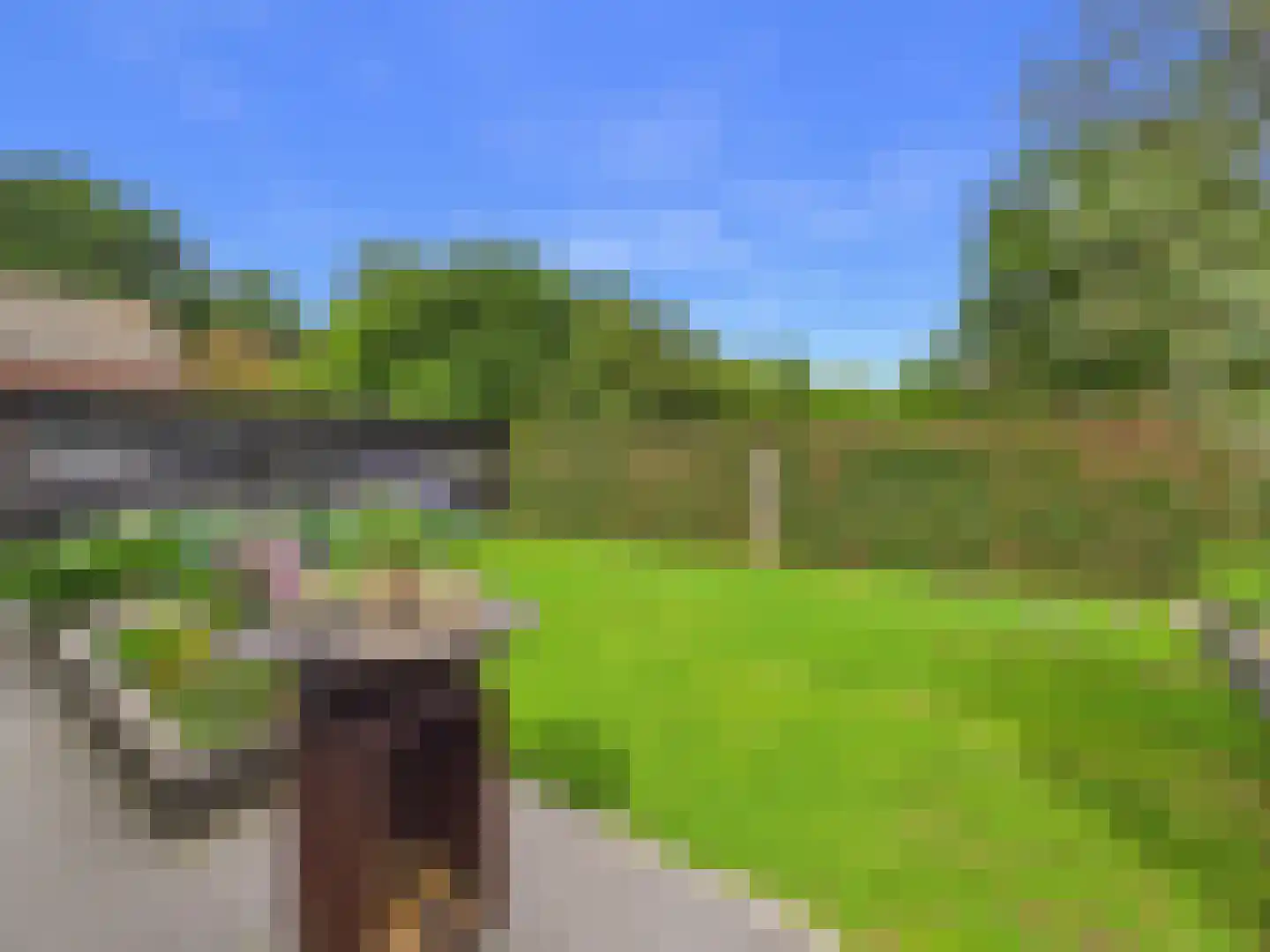 Zaanstraat 31 Terneuzen thumbnail 54