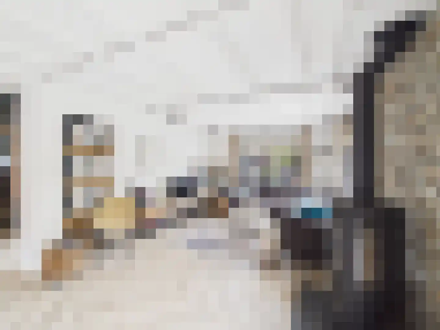 Zaanstraat 31 Terneuzen thumbnail 7