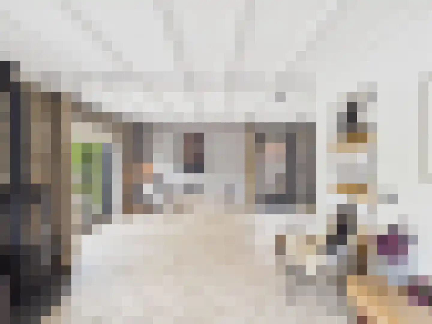 Zaanstraat 31 Terneuzen thumbnail 9