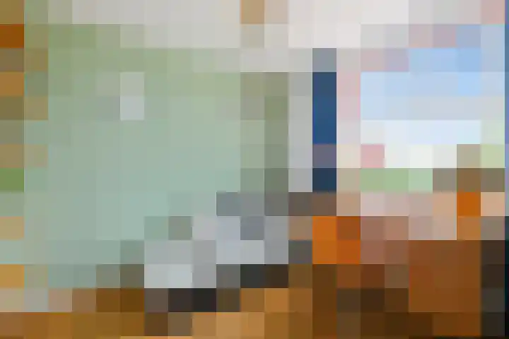 Zaanstraat 315 Amsterdam thumbnail 21