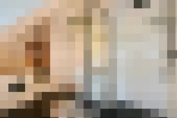 Zaanstraat 315 Amsterdam thumbnail 24