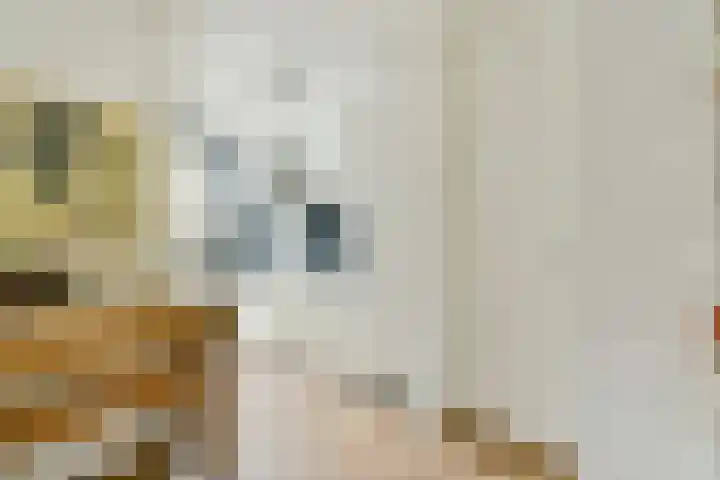 Zaanstraat 316 Amsterdam thumbnail 6