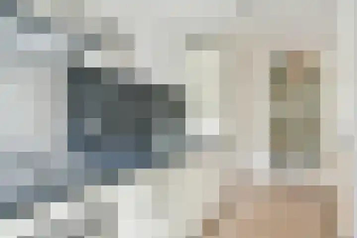 Zaanstraat 316 Amsterdam thumbnail 8
