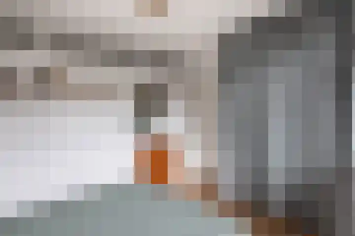 Zaanstraat 318 Amsterdam thumbnail 13