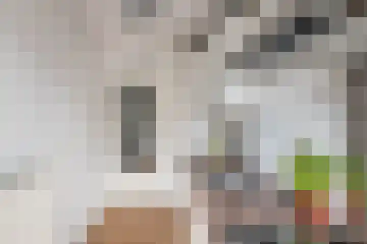 Zaanstraat 318 Amsterdam thumbnail 7