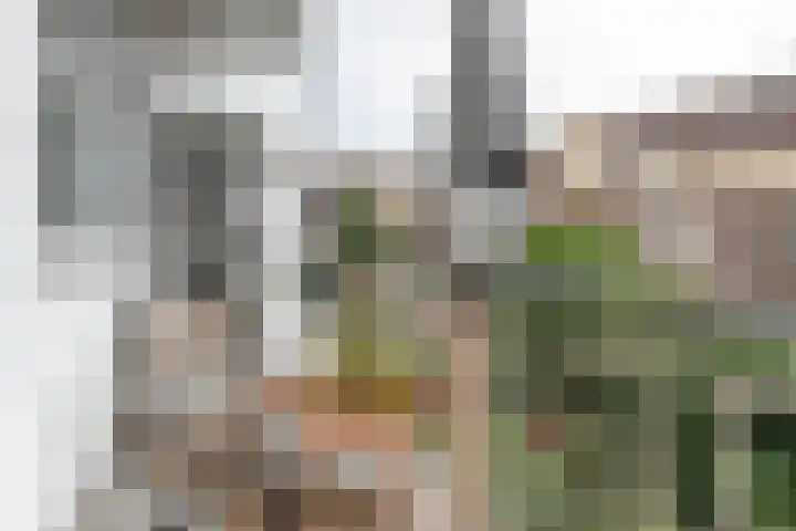 Zaanstraat 318 Amsterdam thumbnail 9