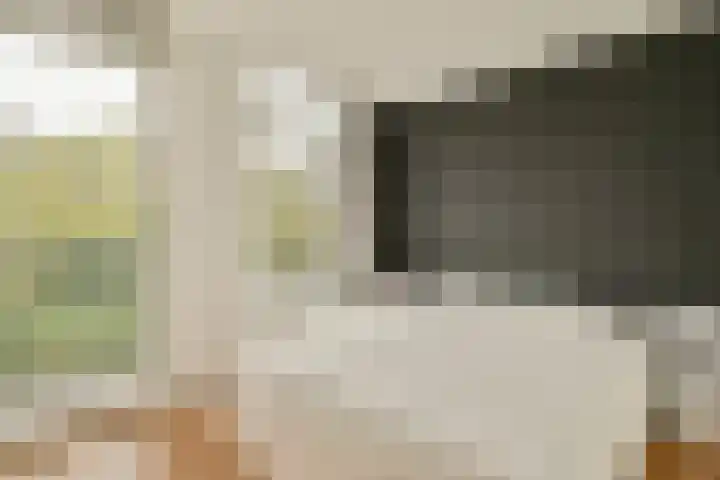 Zaanstraat 32 Amsterdam thumbnail 13