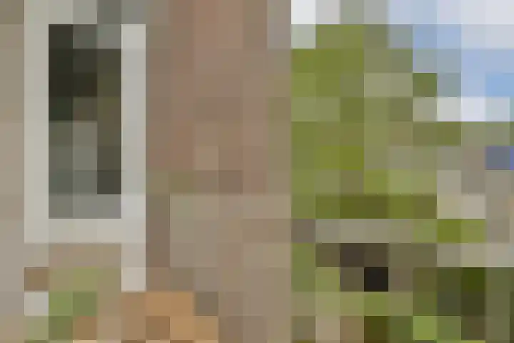 Zaanstraat 32 Amsterdam thumbnail 7