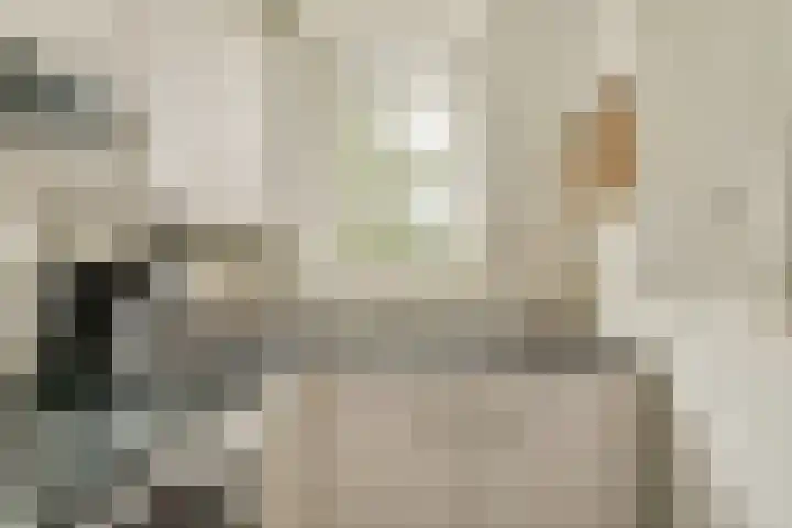 Zaanstraat 32 Amsterdam thumbnail 8