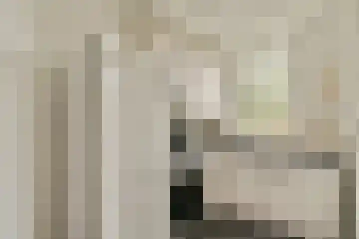 Zaanstraat 32 Amsterdam thumbnail 9