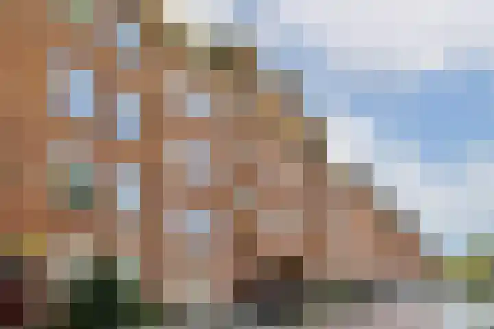 Zaanstraat 363 Amsterdam thumbnail 19