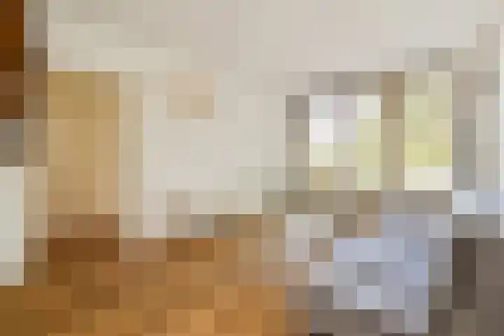 Zaanstraat 363 Amsterdam thumbnail 7