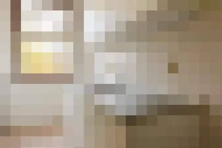 Zaanstraat 365 Amsterdam thumbnail 9
