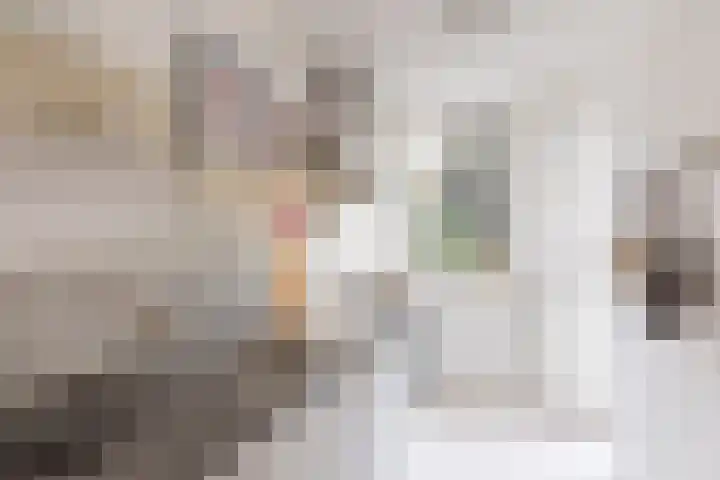 Zaanstraat 367 Amsterdam thumbnail 10