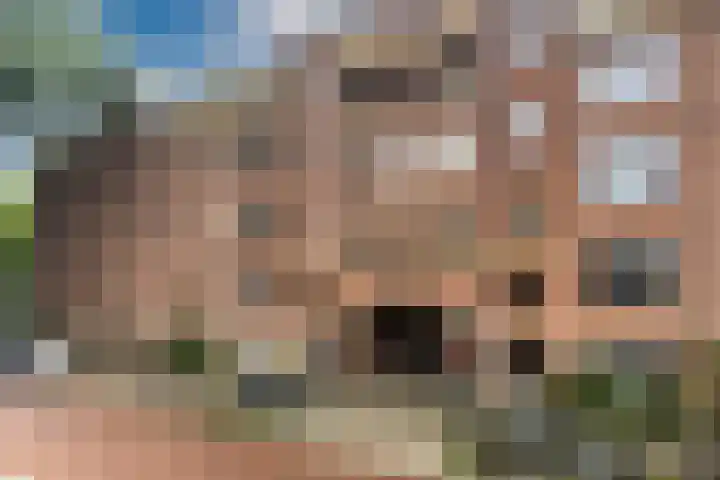 Zaanstraat 367 Amsterdam thumbnail 18