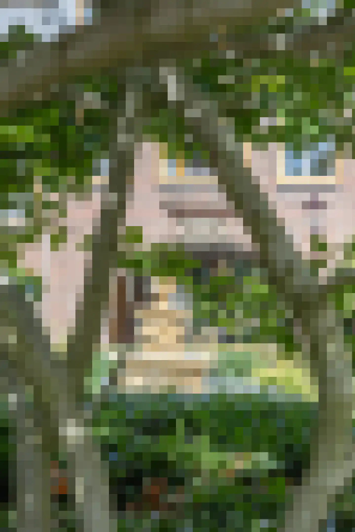 Zaanstraat 367 Amsterdam thumbnail 30