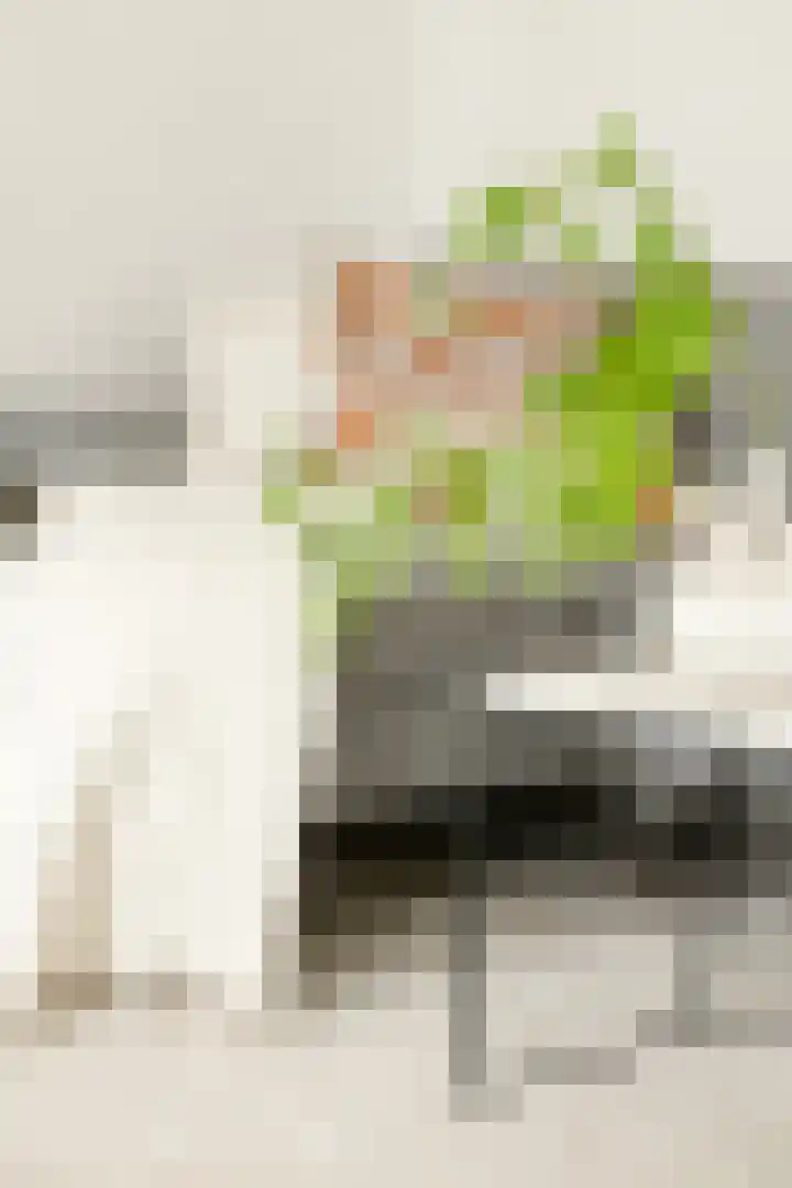 Zaanstraat 367 Amsterdam thumbnail 7