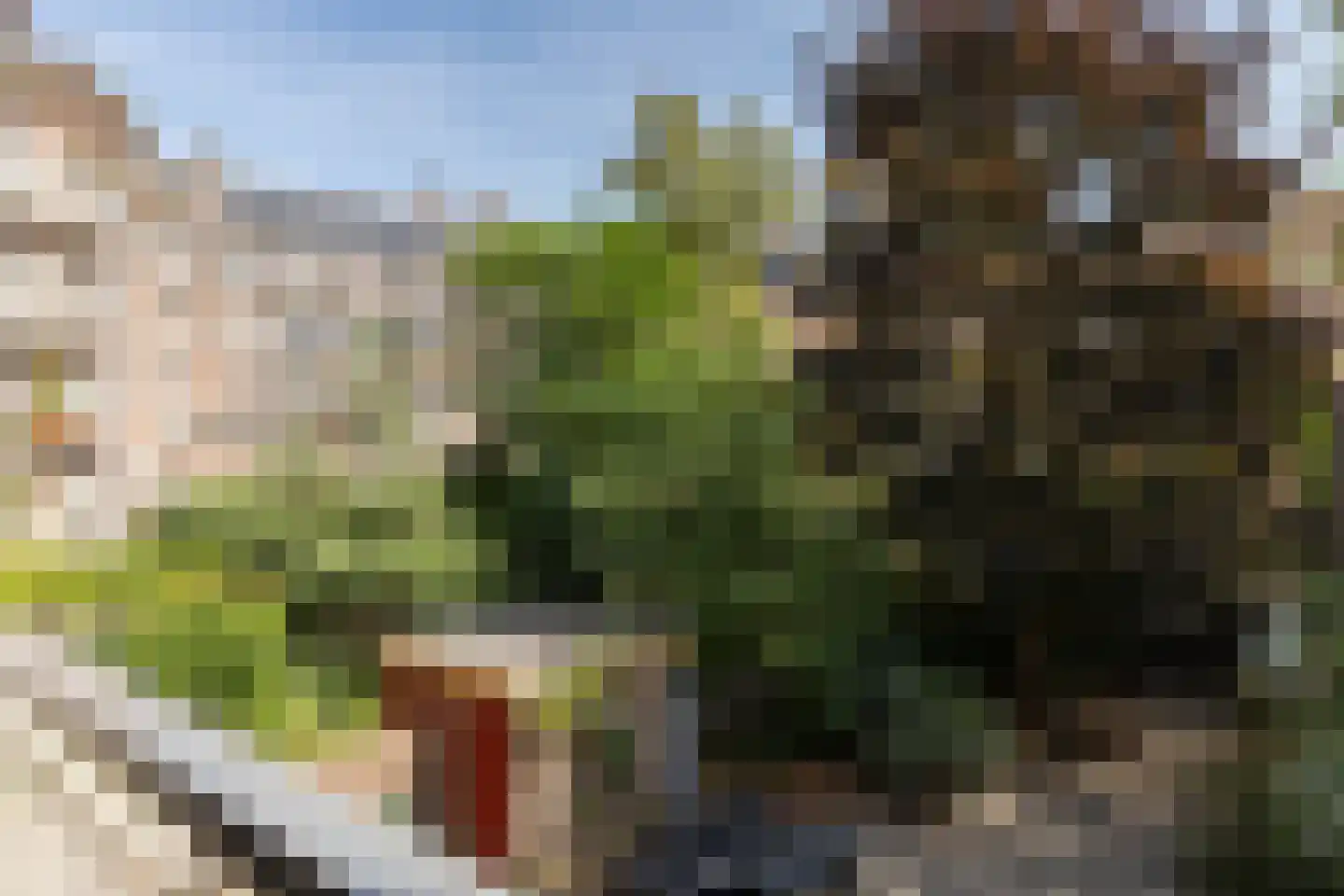 Zaanstraat 367 Amsterdam thumbnail 9