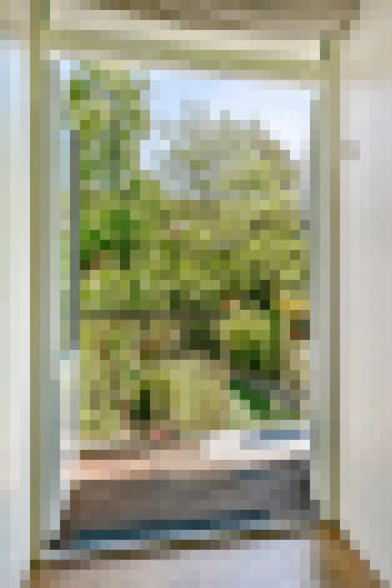 Zaanstraat 381 Amsterdam thumbnail 14