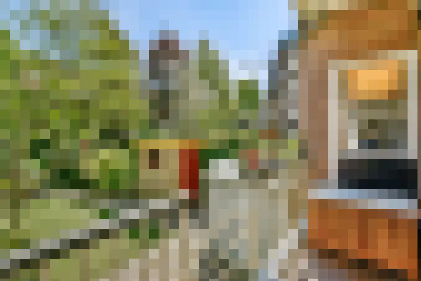 Zaanstraat 381 Amsterdam thumbnail 15