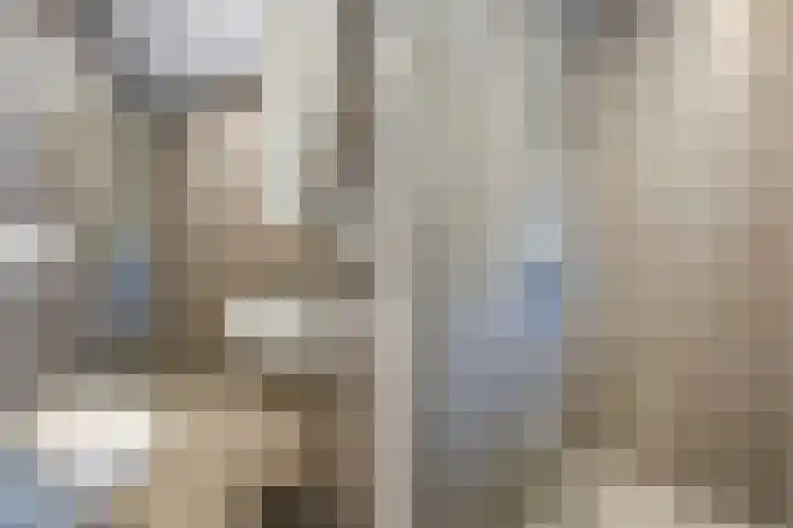 Zaanstraat 45 Amsterdam thumbnail 10