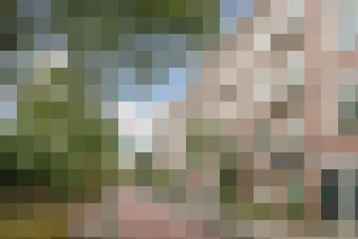 Zaanstraat 45 Amsterdam thumbnail 16