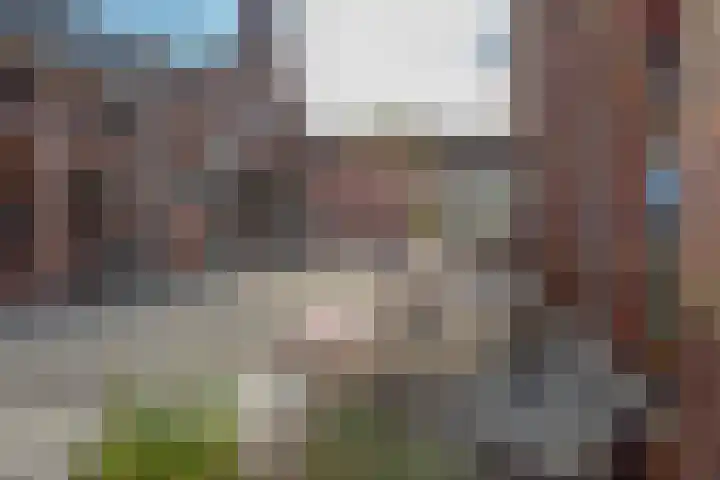 Zaanstraat 45 Amsterdam thumbnail 20