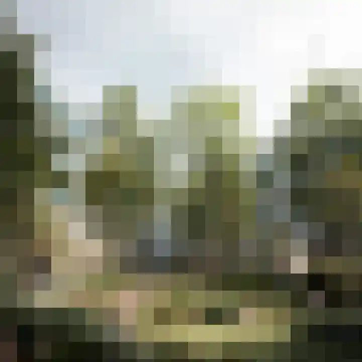 Zaanstraat 457 Amsterdam thumbnail 4