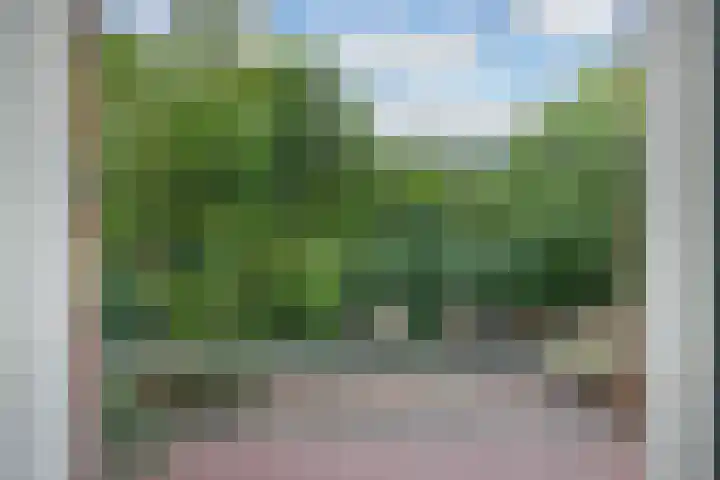 Zaanstraat 46 Amsterdam thumbnail 5
