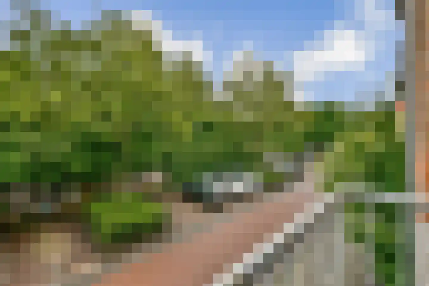 Zaanstraat 47 Amsterdam thumbnail 15