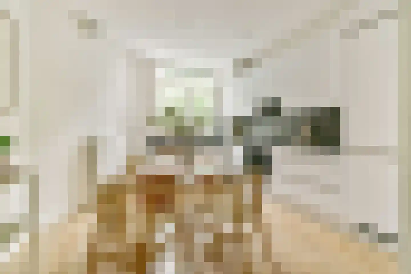 Zaanstraat 47 Amsterdam thumbnail 16