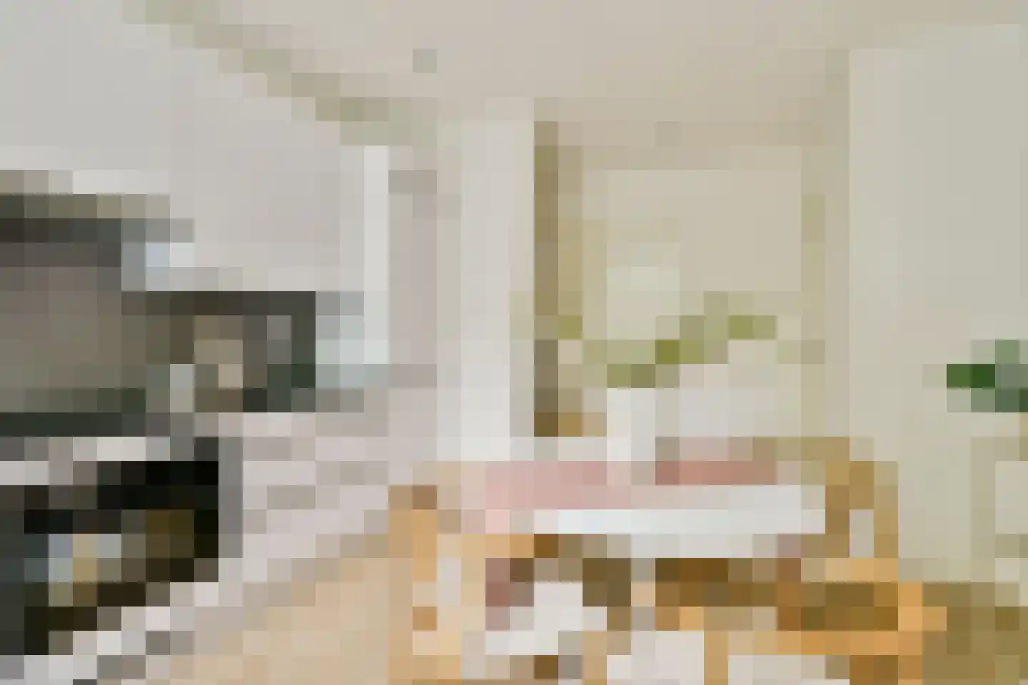 Zaanstraat 47 Amsterdam thumbnail 17