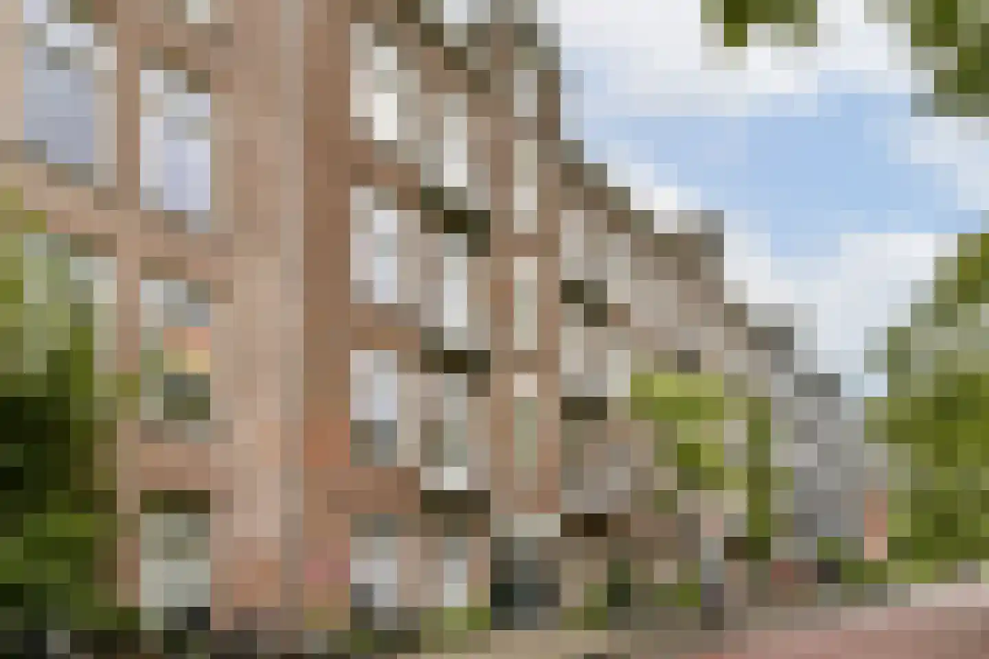 Zaanstraat 47 Amsterdam thumbnail 24