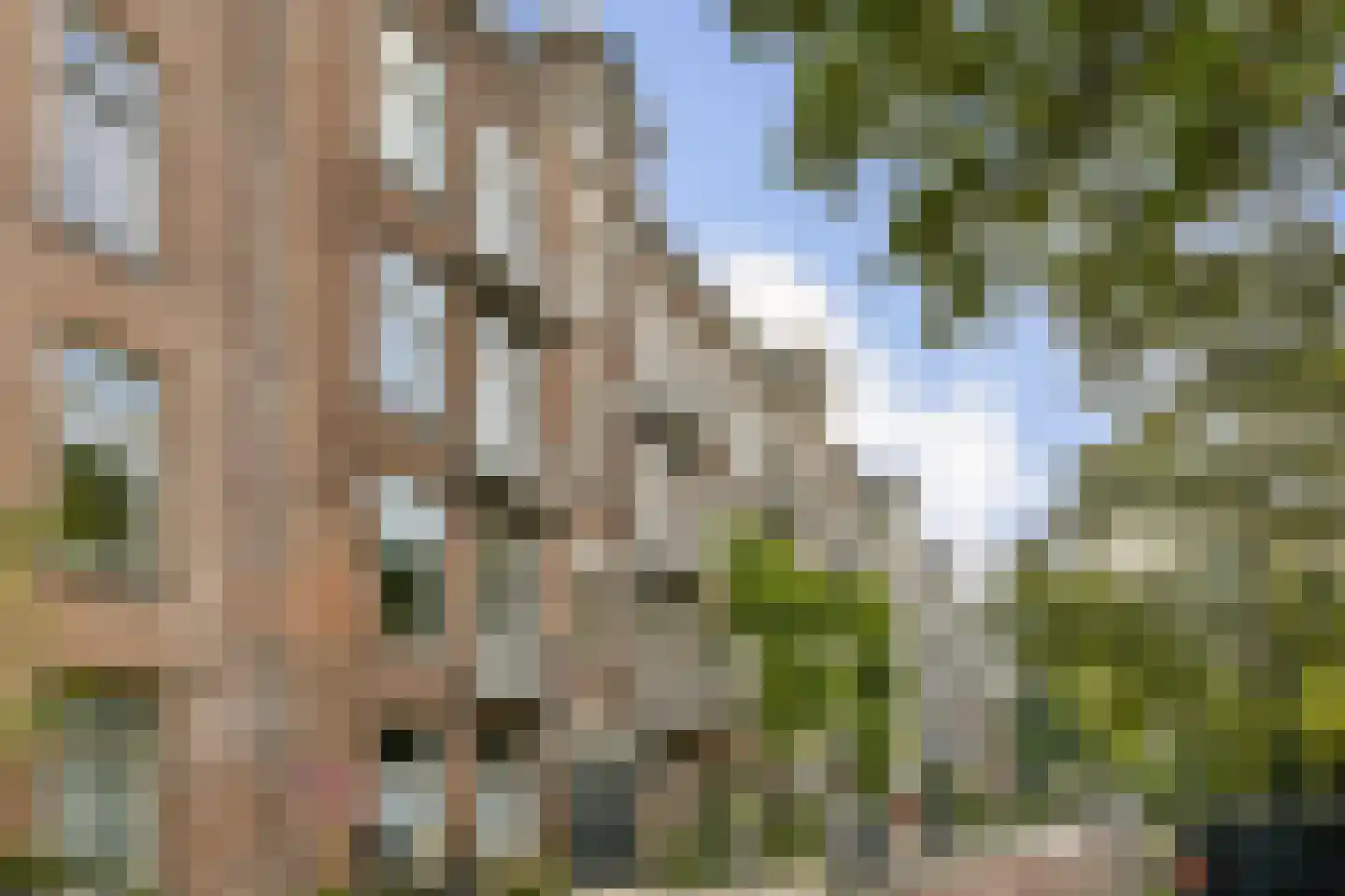 Zaanstraat 48 Amsterdam thumbnail 20