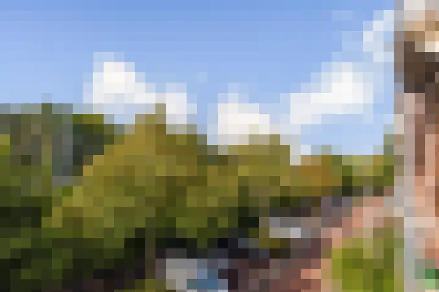 Zaanstraat 48 Amsterdam thumbnail 9
