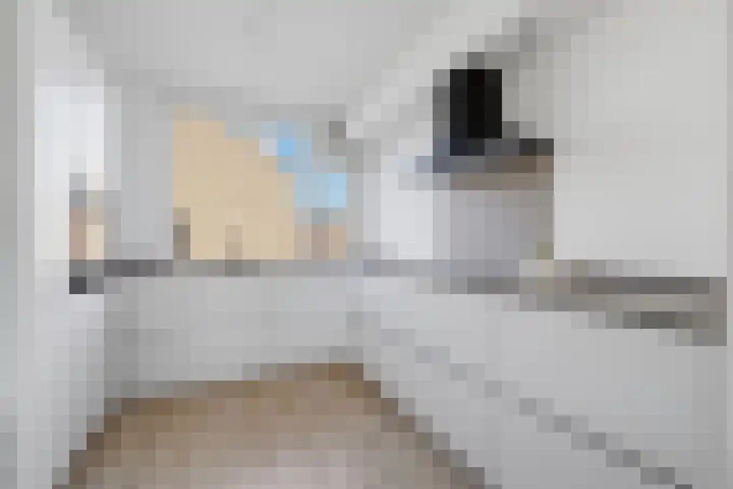 Zaanstraat 48 Oost-Souburg thumbnail 8