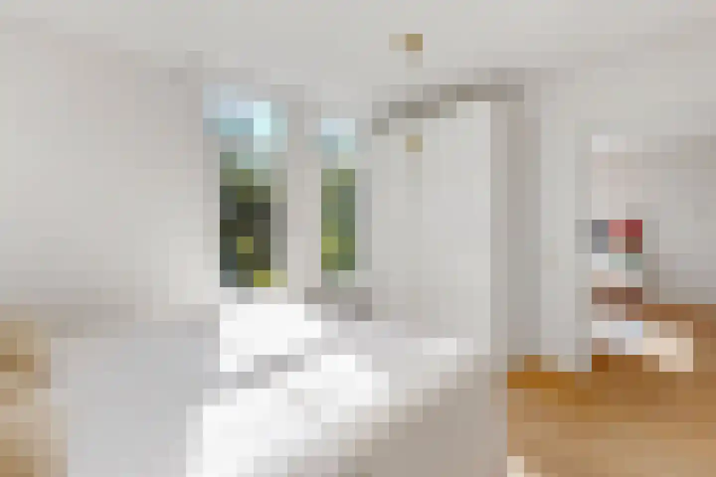 Zaanstraat 53 Amsterdam thumbnail 21