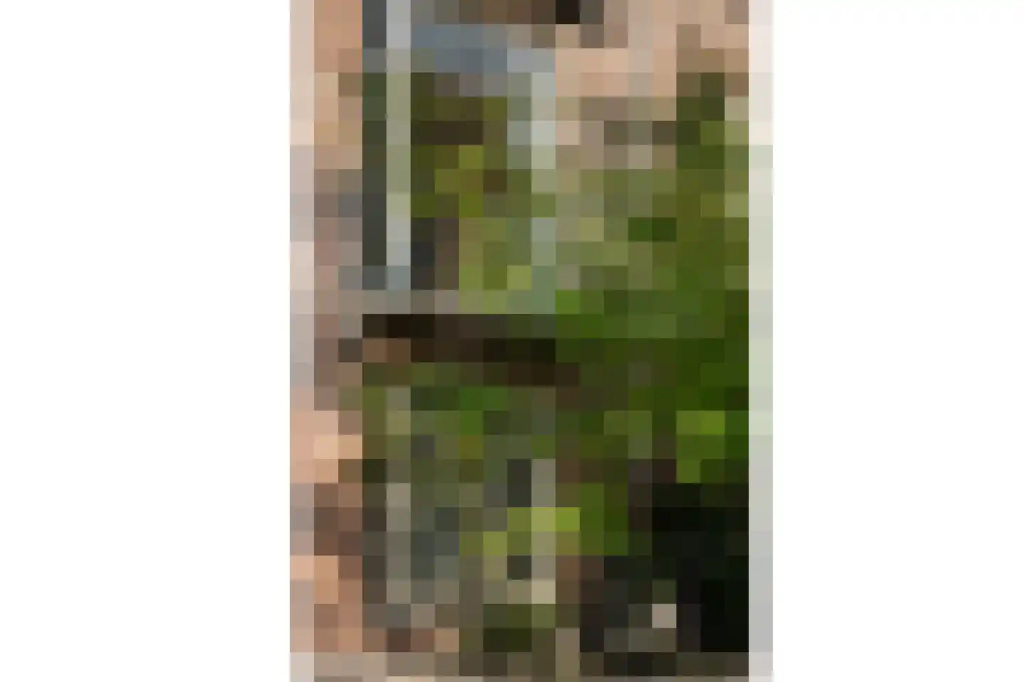 Zaanstraat 53 Amsterdam thumbnail 4