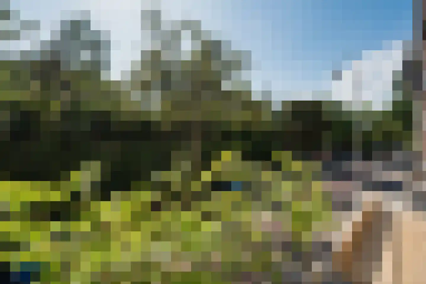 Zaanstraat 53 Amsterdam thumbnail 9