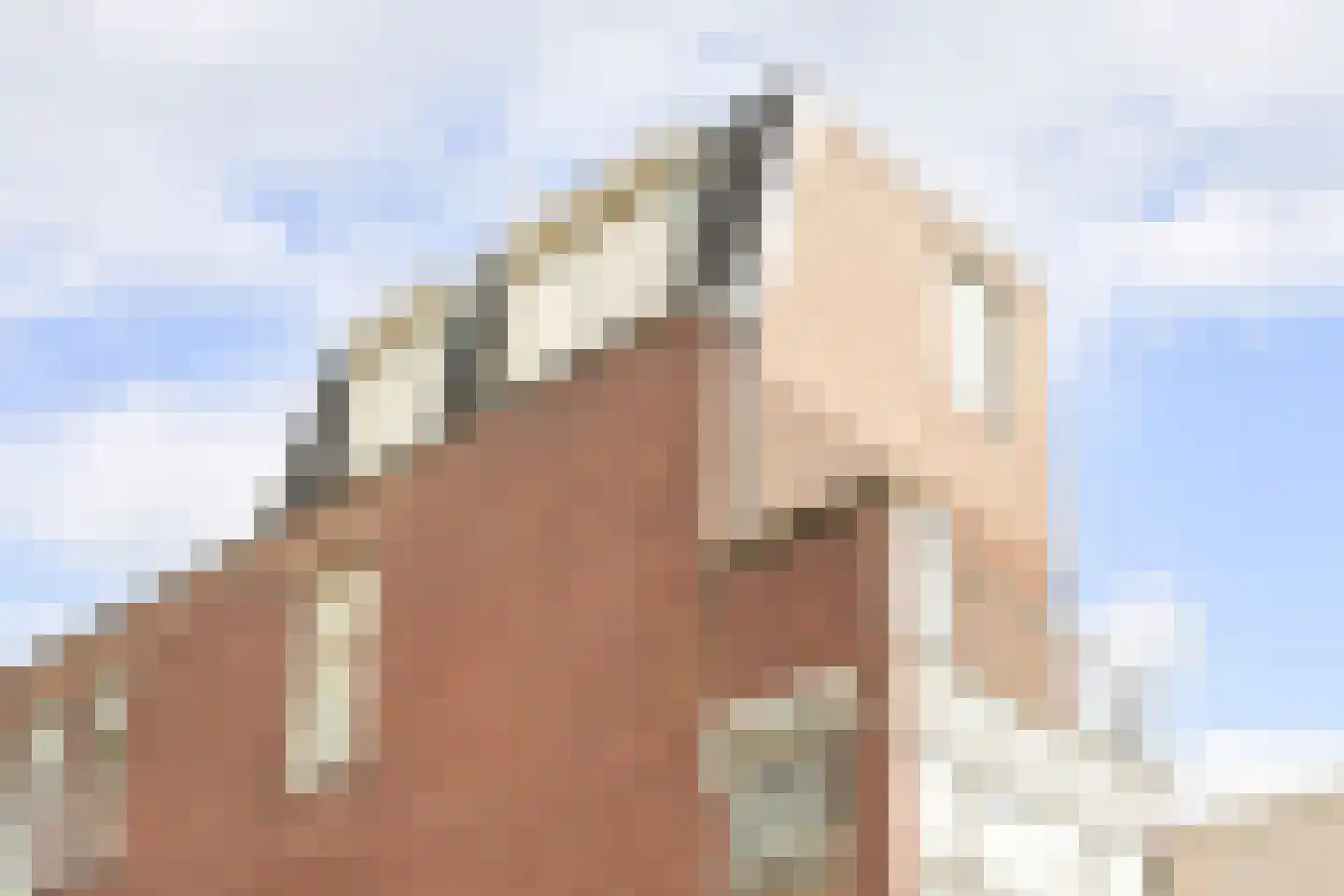Zaanstraat 55 B Den Haag thumbnail 21