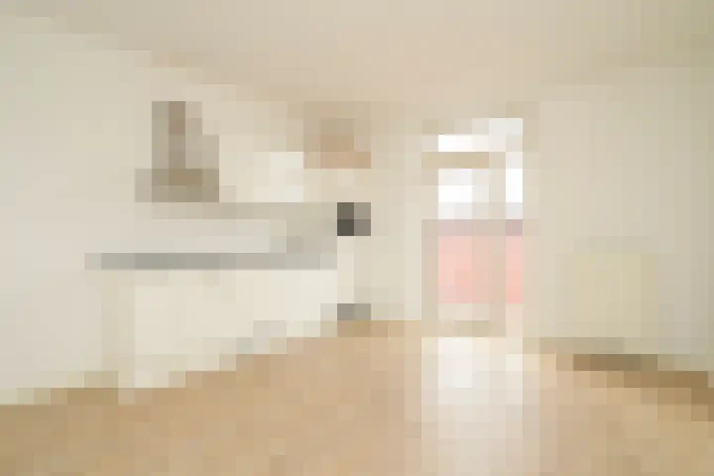 Zaanstraat 55 B Den Haag thumbnail 4