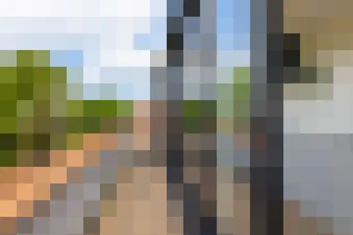 Zaanstraat 74 Amsterdam thumbnail 7