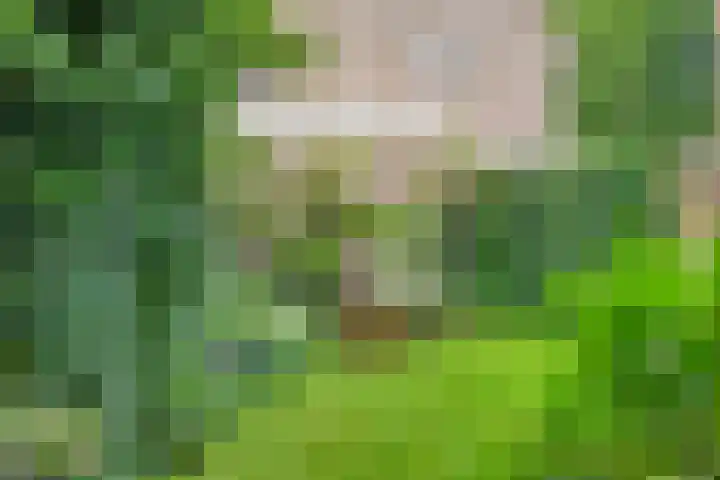 Zaanstraat 9 Assen thumbnail 35
