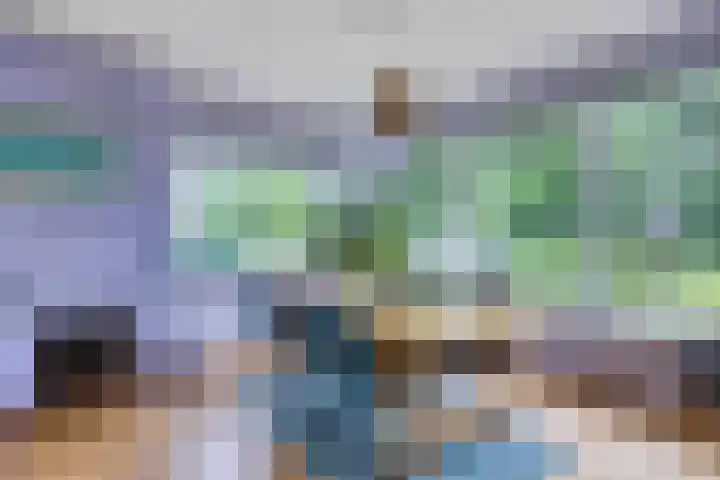 Zaanstraat 9 Assen thumbnail 9