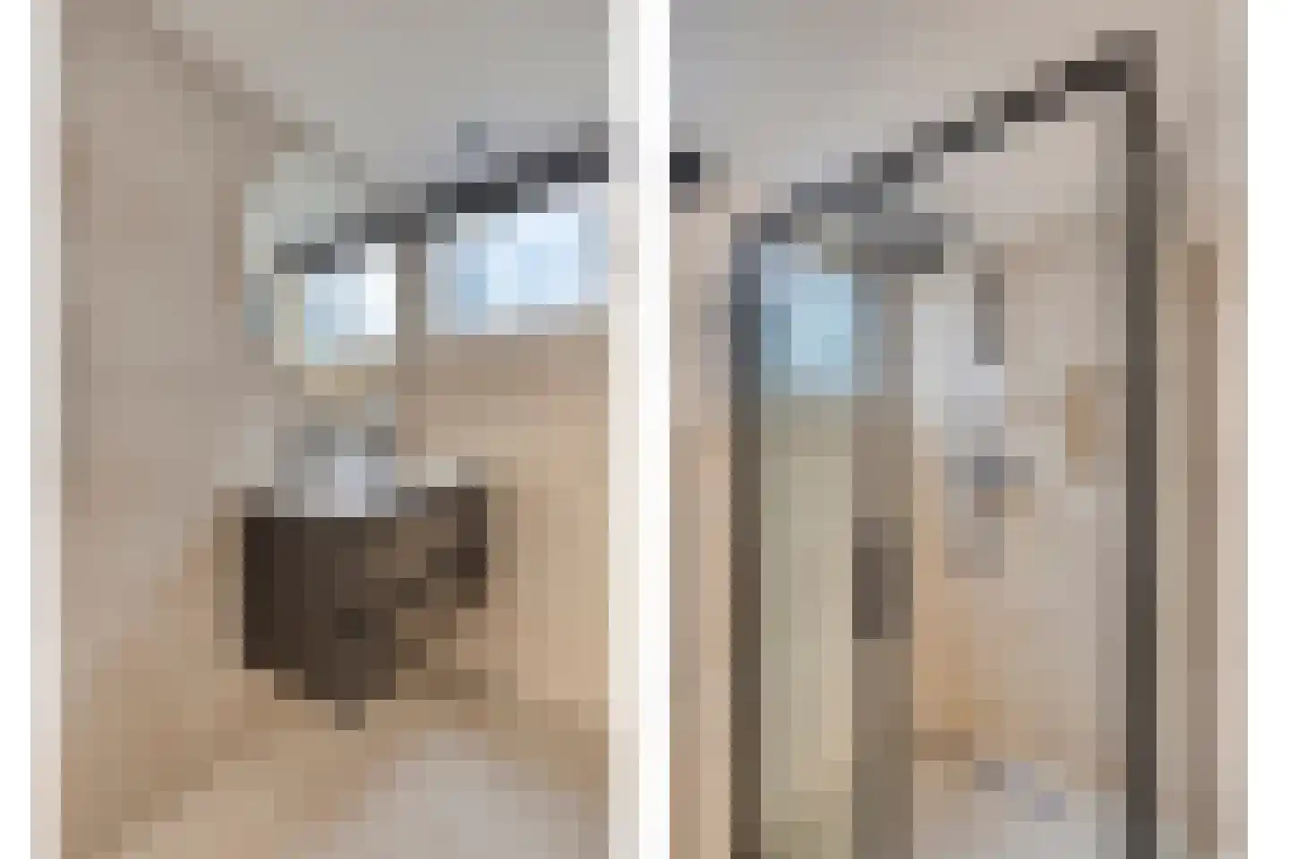 Zaanweg 10 C Wormerveer thumbnail 19